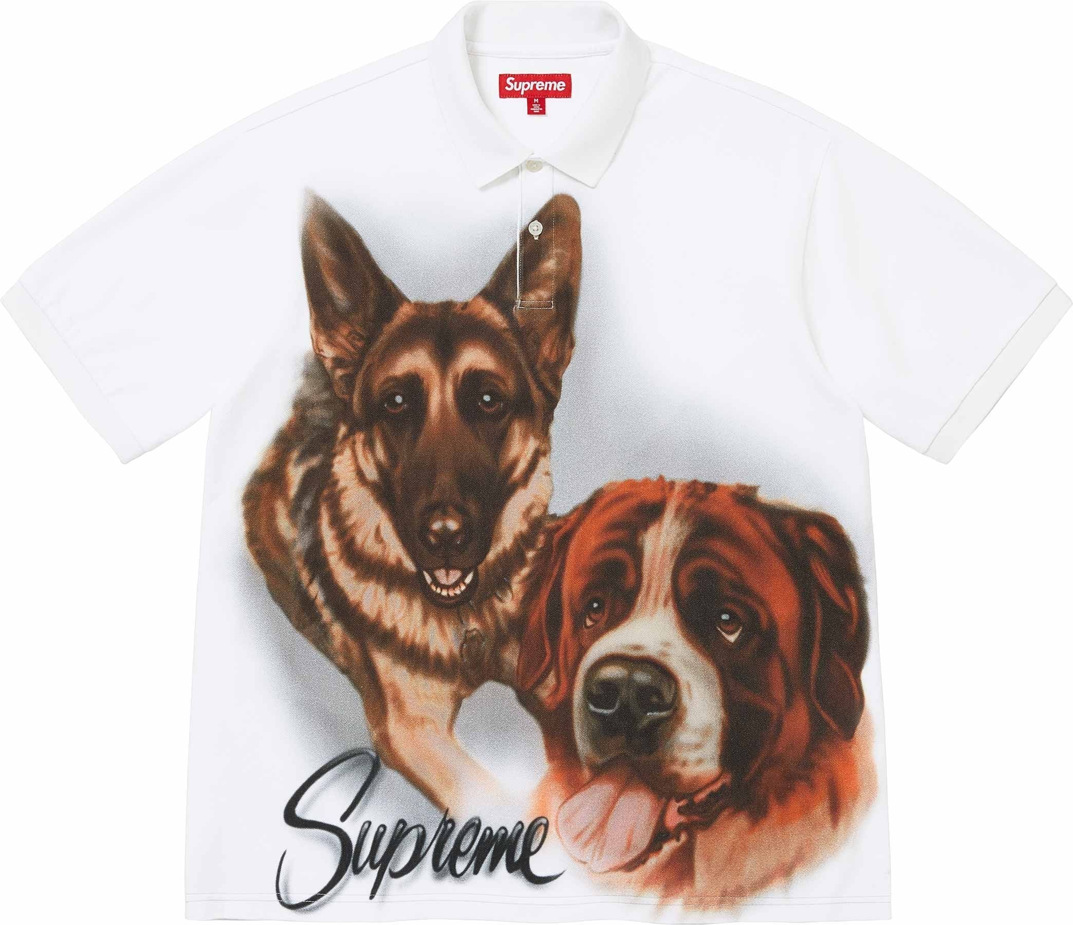 Dogs Polo